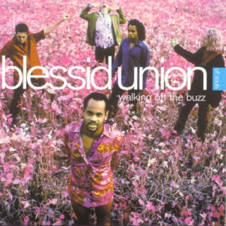 Hey Leonardo (She Likes Me For Me) Blessid Union Of Souls