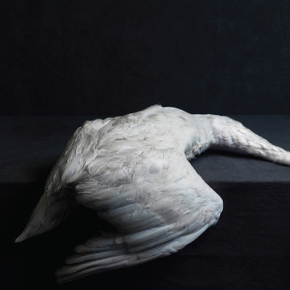 A Solitary Reign Amenra