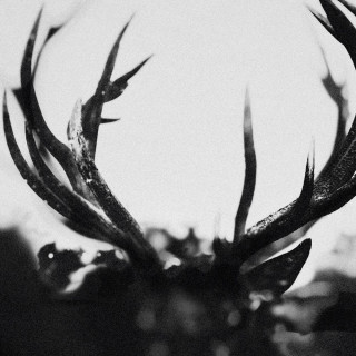 The Distance Between Us Ihsahn