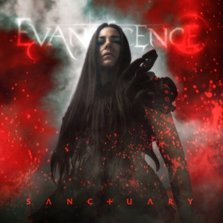Who Will You Follow Evanescence