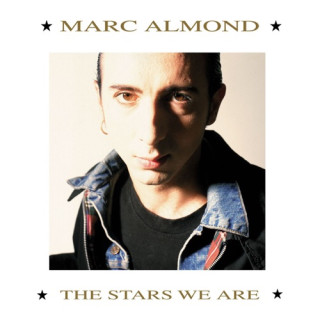 Tears Run Rings Marc Almond