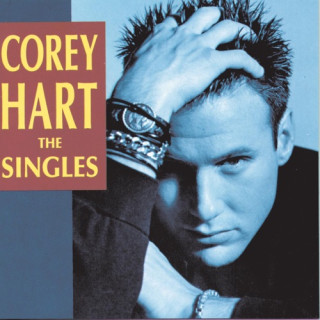Sunglasses at night Corey Hart