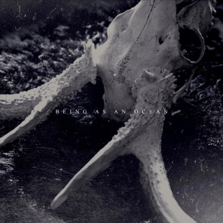 This Loneliness Won't Be The Death Of Me Being As An Ocean